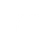 shape image