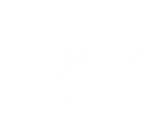 shape image